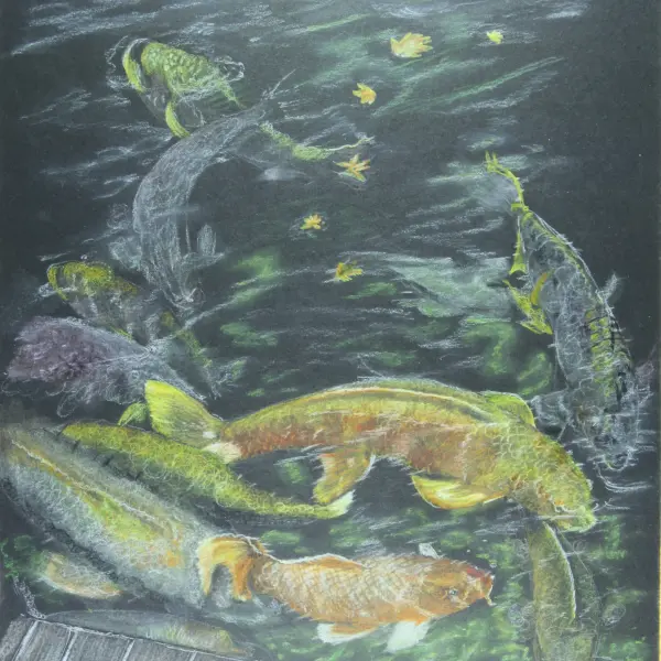 Drawing of fish in a pond